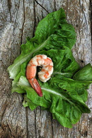Shrimp on Cabbageの写真素材