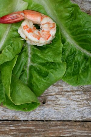 Shrimp on Cabbageの写真素材