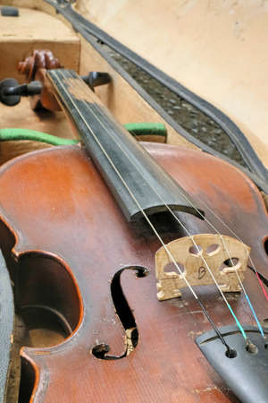 violin in vintage styleの写真素材