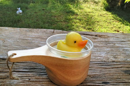 yellow duck jelly on wooden plates , delicious dessertの写真素材