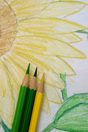 Colored pencils with sunflowerの写真素材