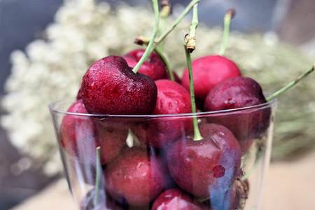 Fresh cherriesの写真素材