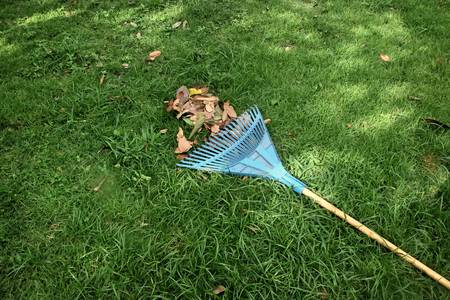 blue rake on grassの写真素材