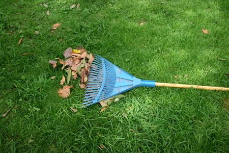 blue rake on grassの写真素材