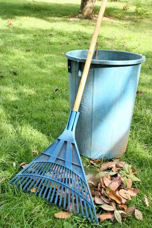 blue rake on grass