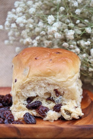 Raisin and Raisin bread loafの写真素材