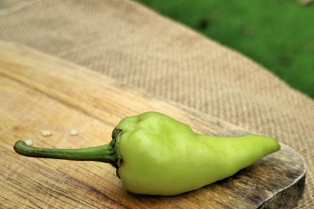 Green bell pepper on wood in the gardenの写真素材