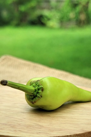 Green bell pepper on wood in the garden