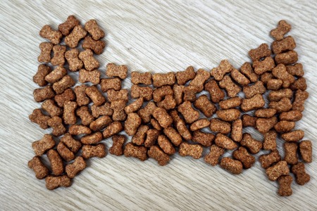 dog Food on wooden tableの写真素材