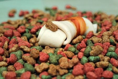dog Food on wooden table