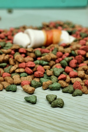 dog Food on wooden tableの写真素材