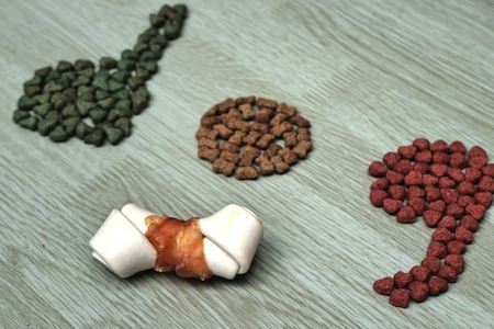 dog Food on wooden tableの写真素材