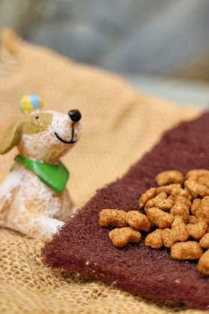 dog Food on wooden table
