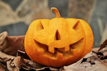 Halloween Pumpkinの写真素材