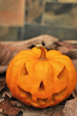 Halloween Pumpkinの写真素材