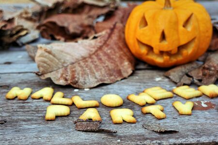 Halloween party message designの写真素材