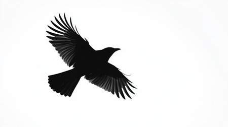 Black silhouette of a bird flying gracefully, highlighted against a bright, empty white background for a minimalist, impactful image.の素材