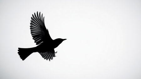 Black silhouette of a bird mid-flight, starkly set against a bright white background, emphasizing simplicity and contrast.の素材