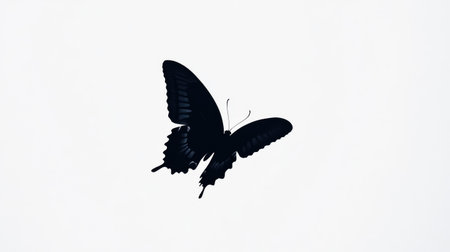 Butterfly in flight, captured as a black silhouette, standing out vividly against a stark white background for a minimalist scene.の素材