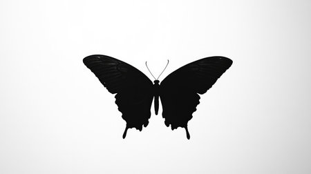 Black silhouette of a butterfly resting with wings spread, sharply contrasted against a clean white background for a minimalist effect.の素材