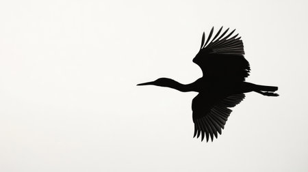 Silhouette of a bird in flight, its black form contrasting sharply with the pure white background in a minimalist scene.の素材