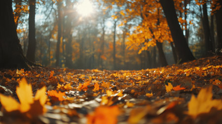 Scenic autumn forest with golden leaves blanketing the ground, vibrant orange and yellow foliage under soft sunlight, peaceful and serene.の素材