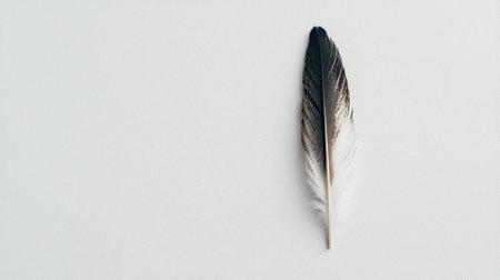 A single white feather gently placed on a smooth white background, creating a serene, minimalist aesthetic.の素材