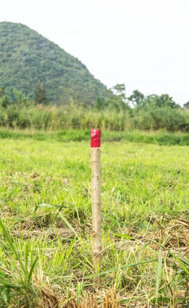 red colored wooden pole for the setting out of a Field surveyの写真素材