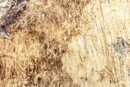stone texture backgroundの写真素材