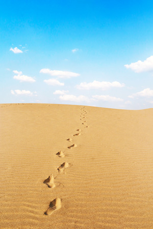 Footprints on desertの写真素材