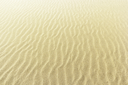sand backgrounds and texture by Aeolian processの写真素材