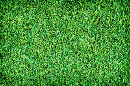 Green artificial turf texture for background.の写真素材