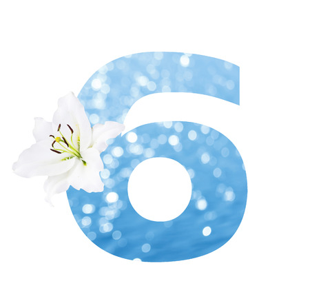Number 6 made from Abstract circular bokeh background of Light shining on the river shot in manual mode out of focus and white lilly , clipping path.の写真素材