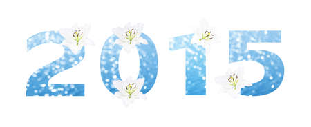 Happy new year 2015 made from Abstract circular bokeh background of Light shining on the river shot in manual mode out of focus and white lilly の写真素材