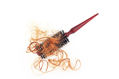 Hair loss problem with round hair brush , isolated on white background.の写真素材