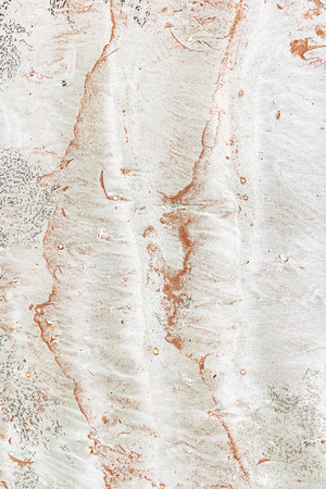 Sand and seashells on the beach, texture for backgroundの写真素材