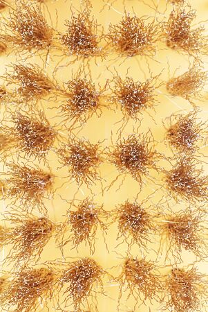 brass brush  texture for background, Close-upの写真素材