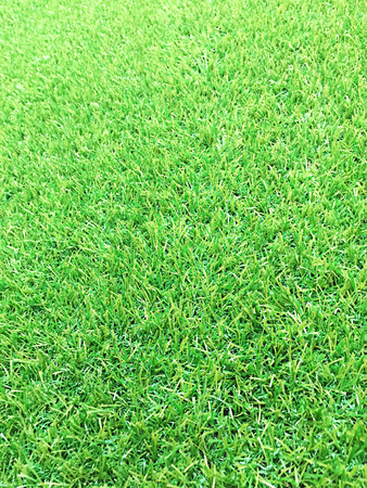 Green artificial grass texture for background and empty space.の写真素材