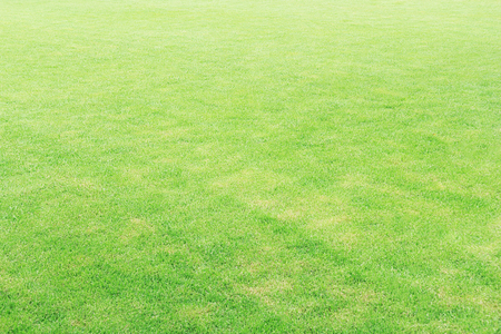 Green artificial grass texture or background and empty space.の写真素材