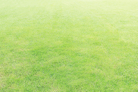 Green artificial grass texture or background and empty space.の写真素材