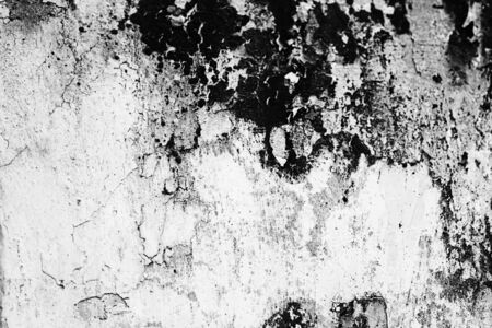 Grunge black and white abstract background or texture.の写真素材