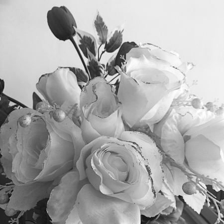 Gray of Artificial rose flower background for your designの写真素材
