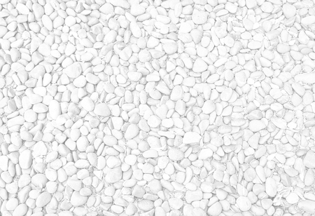 white stone background and texture and leavesの写真素材