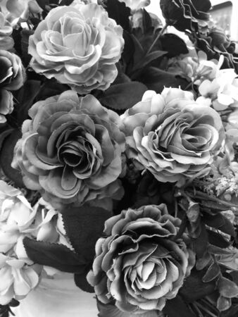 Fake rose flower black and white color for backgroundの写真素材