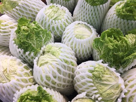 Many white chinese cabbage vegetables wrapped in foam for sell in supermarket.の写真素材