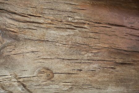brown  wood closeup texture or background.の写真素材