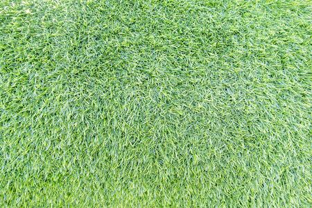 Green fake grass texture or background and copy spaceの写真素材