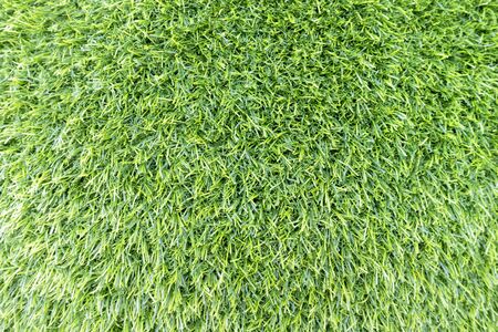 Green fake grass texture or background and copy spaceの写真素材