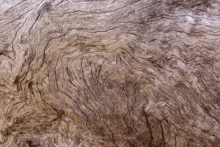 Brown wood texture and backgroundの写真素材