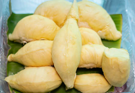 Durian Thai fruit in plastic boxの写真素材